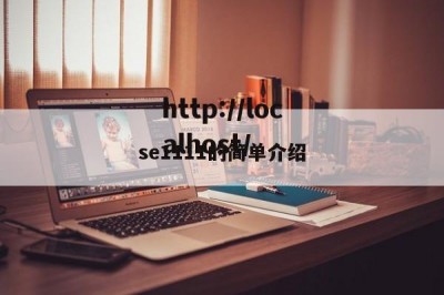 se1111的简单介绍